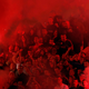 Illustration for article titled Smoke, Flares, Riot Police In Belgrade Derby Make For Haunting Photos
